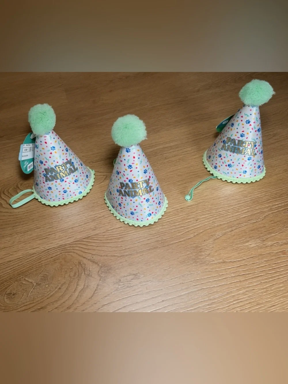 Dog Party Animal Birthday Hat - Mint Pom Pom